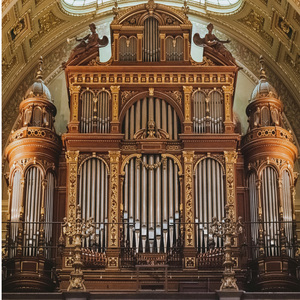 管弦奏响温情的心灵之曲 (The orchestra plays the soul - touching melody of warmth)