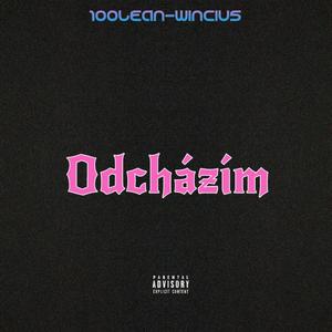 Odchazím (feat. Wincius)