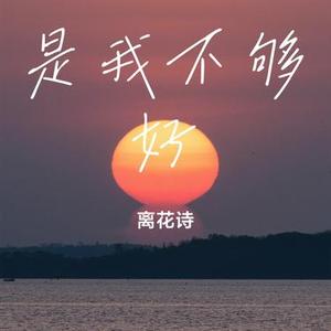 是我不够好 (离花诗 Remix)