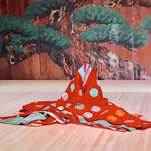 かぐや姫きたん？