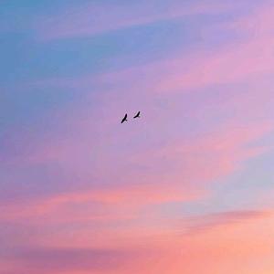 Jiyda Gullaganda (Afro)