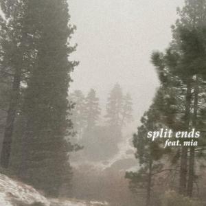 split ends (feat. mia)