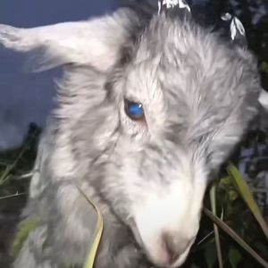 慢点（Prod.JVD）