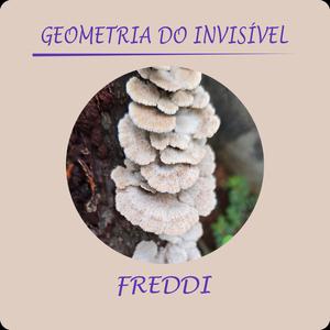 Geometria do Invisível