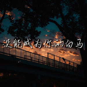 没能成为你的白马