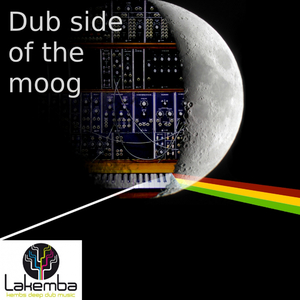 Trip Into The Moon (Original Mix)