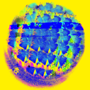 in colors just a little too vibrant to be naturally occurring