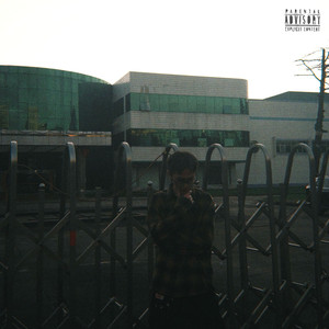 我喜欢在梦里弹琴