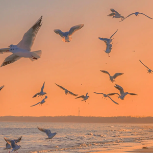 美丽的神话（DJ西米热播片段）