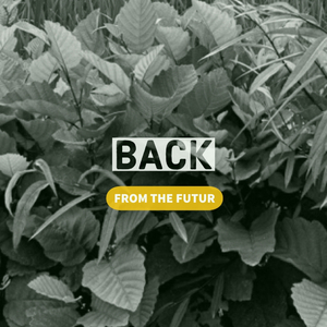 Throbbing (Original Mix)