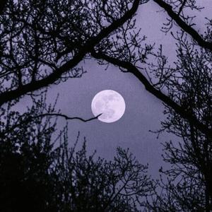 FORGET (feat. laurxchu)