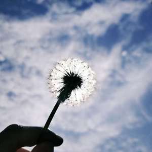 让我就这样抱着你