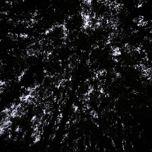 登金陵凤凰台.mp3