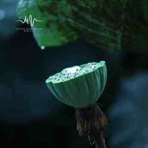 岁月风烟 (冥想打坐)