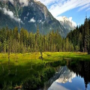 Classical Inspiration