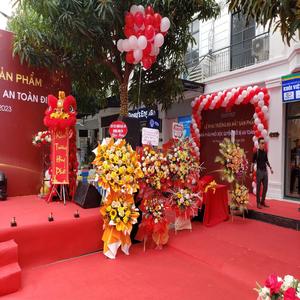 het minh anh nhan nhung ton thuong sau trong long anh day