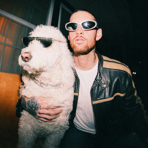 Lucky Fly On The Wall