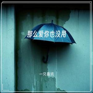 那么爱你也没用