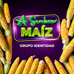 A Sembrar Maíz