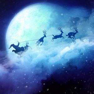 月光下的麋鹿.mp3