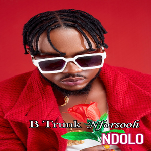 Ndolo