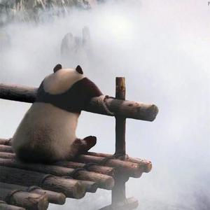 回忆过去