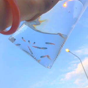 第二个我（instrumental）