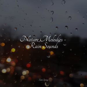 Relaxing Birdsong Ambience
