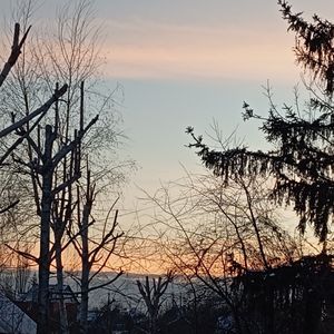 Абстрактная Биполярность
