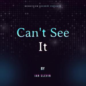 Can't See It