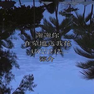 谢谢你在墓地送我花