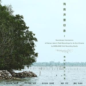 儋州滩涂声景印象