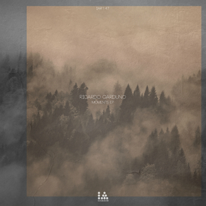 YPYMF (Original Mix)