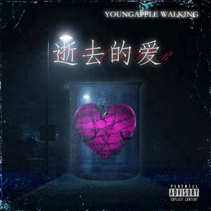 逝去的爱