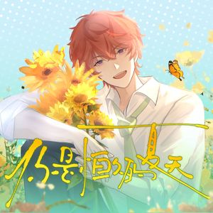 你是恒久的夏天