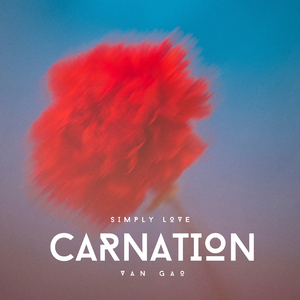 Simply Love - Carnation