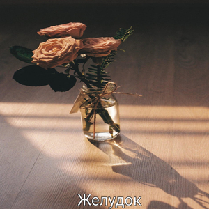 Желудок (Instrumental)