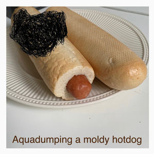 Aquadumping a moldy hotdog