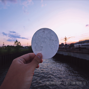I Was Your Moon