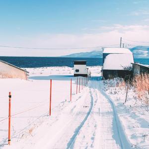 WINTER FLOWER(雪中梅)（翻自 Younha）