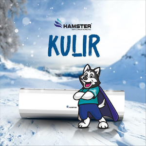 Kulir