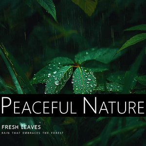 Sonido De Lluvia Constante