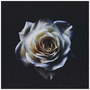 Мужское Начало