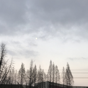 音乐学院上早自习的样子