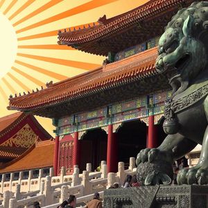 Lotus Lane – The Loyalist