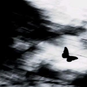 断电 （女声心碎版）