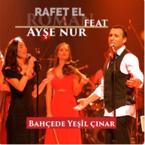 Bahçede Yeşil Çınar