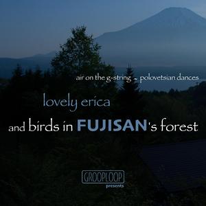 Polovetsian Dances