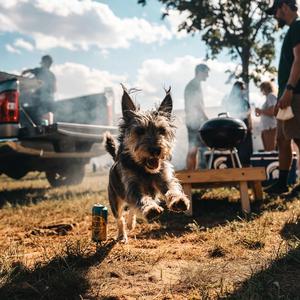 Michigan Summer (Hip-Hop)
