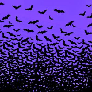 NightBat